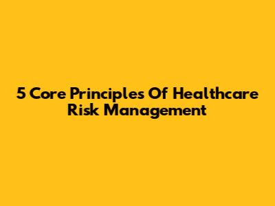 5 Core Principles Of Healthcare Risk Management