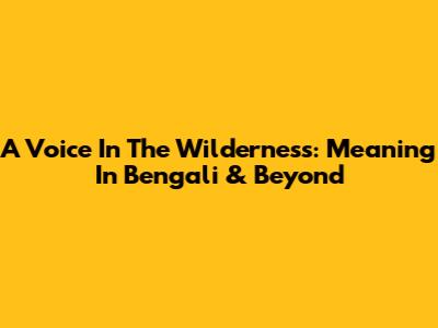 A Voice In The Wilderness: Meaning In Bengali & Beyond