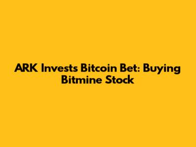 ARK Invest's Bitcoin Bet: Buying Bitmine Stock
