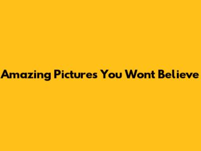 Amazing Pictures You Won't Believe