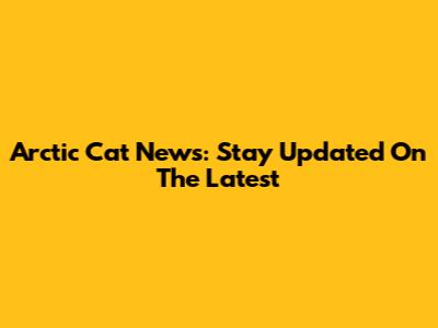 Arctic Cat News: Stay Updated On The Latest