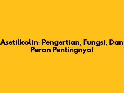 Asetilkolin: Pengertian, Fungsi, Dan Peran Pentingnya!