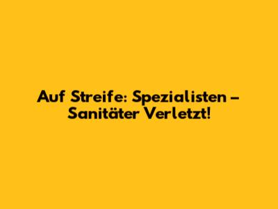 Auf Streife: Spezialisten – Sanitäter Verletzt!