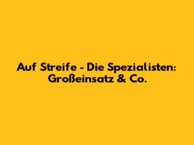 Auf Streife - Die Spezialisten: Großeinsatz & Co.