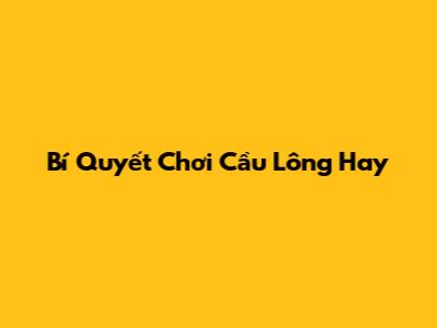 Bí Quyết Chơi Cầu Lông Hay