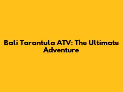 Bali Tarantula ATV: The Ultimate Adventure