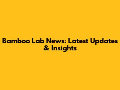 Bamboo Lab News: Latest Updates & Insights