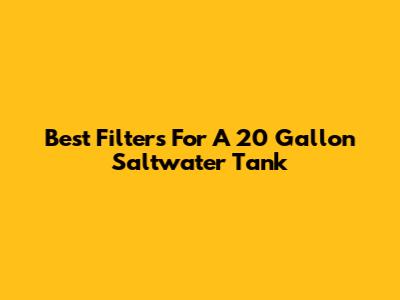 Best Filters For A 20 Gallon Saltwater Tank