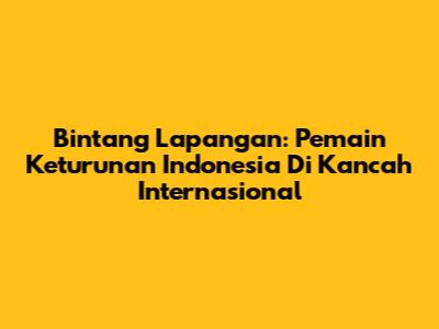 Bintang Lapangan: Pemain Keturunan Indonesia Di Kancah Internasional