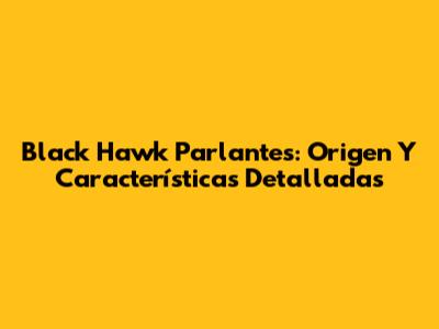 Black Hawk Parlantes: Origen Y Características Detalladas
