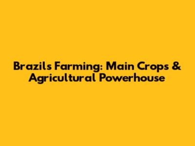Brazil's Farming: Main Crops & Agricultural Powerhouse