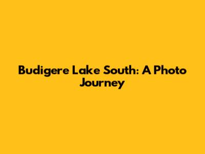 Budigere Lake South: A Photo Journey