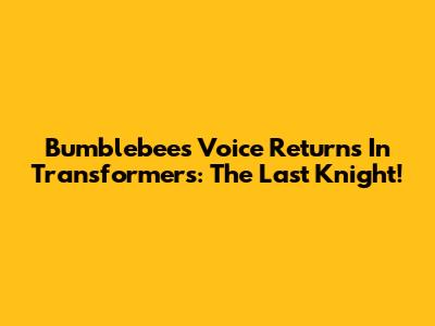 Bumblebee's Voice Returns In Transformers: The Last Knight!