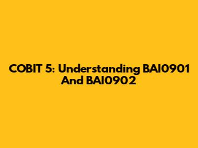 COBIT 5: Understanding BAI0901 And BAI0902