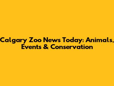 Calgary Zoo News Today: Animals, Events & Conservation