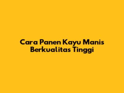 Cara Panen Kayu Manis Berkualitas Tinggi