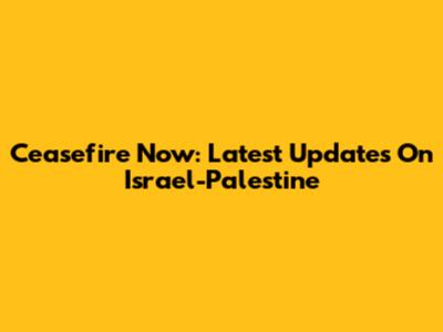 Ceasefire Now: Latest Updates On Israel-Palestine