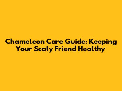 Chameleon Care Guide: Keeping Your Scaly Friend Healthy