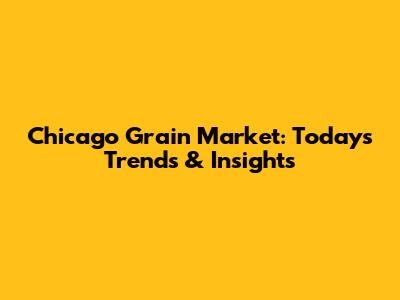 Chicago Grain Market: Today's Trends & Insights