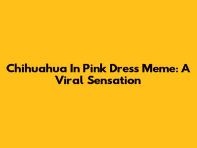 Chihuahua In Pink Dress Meme: A Viral Sensation