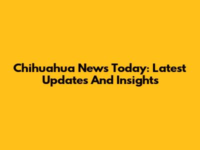 Chihuahua News Today: Latest Updates And Insights