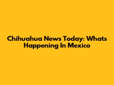 Chihuahua News Today: What's Happening In Mexico
