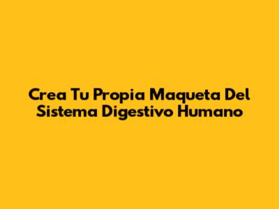 Crea Tu Propia Maqueta Del Sistema Digestivo Humano