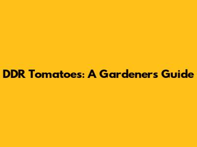 DDR Tomatoes: A Gardener's Guide