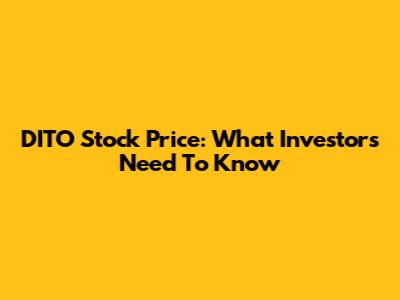 DITO Stock Price: What Investors Need To Know