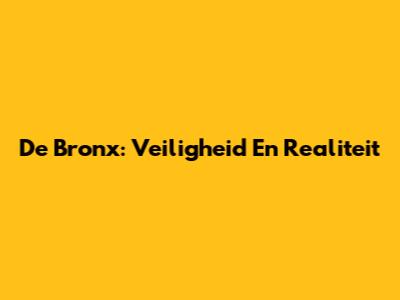 De Bronx: Veiligheid En Realiteit
