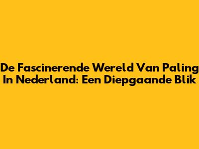 De Fascinerende Wereld Van Paling In Nederland: Een Diepgaande Blik