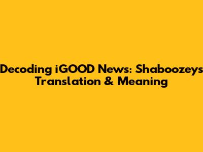 Decoding 'iGOOD News': Shaboozey's Translation & Meaning