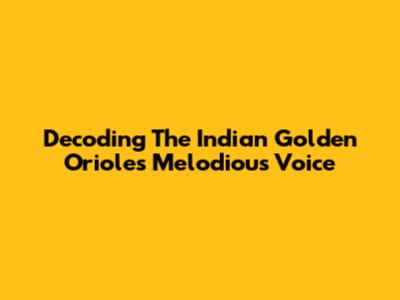 Decoding The Indian Golden Oriole's Melodious Voice
