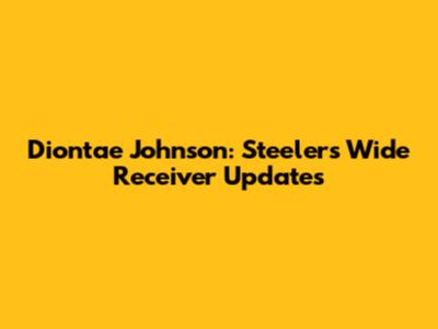 Diontae Johnson: Steelers Wide Receiver Updates