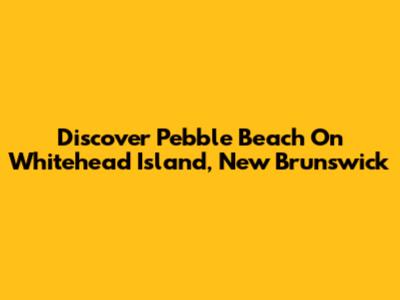 Discover Pebble Beach On Whitehead Island, New Brunswick