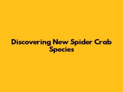 Discovering New Spider Crab Species