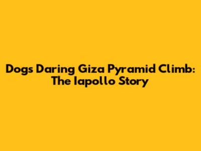 Dog's Daring Giza Pyramid Climb: The Iapollo Story