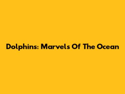 Dolphins: Marvels Of The Ocean
