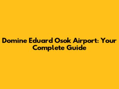Domine Eduard Osok Airport: Your Complete Guide