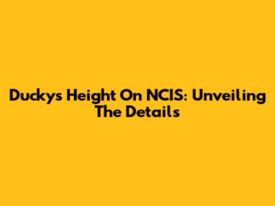 Ducky's Height On NCIS: Unveiling The Details