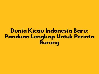 Dunia Kicau Indonesia Baru: Panduan Lengkap Untuk Pecinta Burung