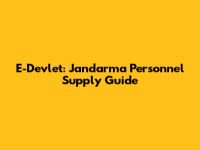 E-Devlet: Jandarma Personnel Supply Guide