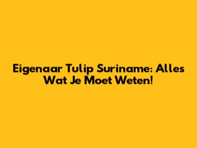 Eigenaar Tulip Suriname: Alles Wat Je Moet Weten!