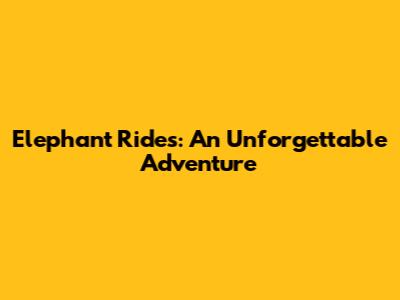 Elephant Rides: An Unforgettable Adventure