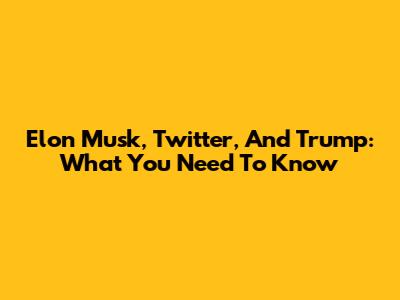 Elon Musk, Twitter, And Trump: What You Need To Know