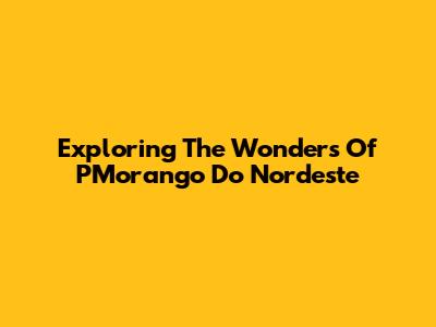 Exploring The Wonders Of PMorango Do Nordeste