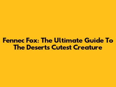 Fennec Fox: The Ultimate Guide To The Desert's Cutest Creature