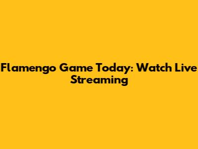 Flamengo Game Today: Watch Live Streaming