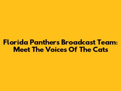Florida Panthers Broadcast Team: Meet The Voices Of The Cats