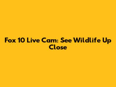 Fox 10 Live Cam: See Wildlife Up Close